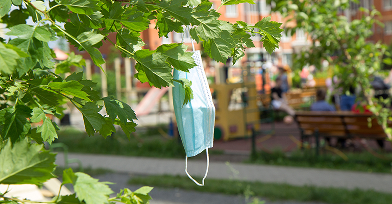 Covid medical mask hangs in tree.