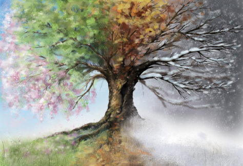 Digital illustration of four seasons tree