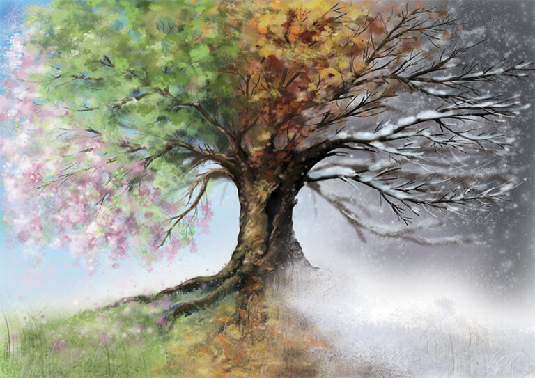 Digital illustration of four seasons tree